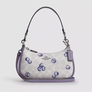 COACH Terri Blueberry purse